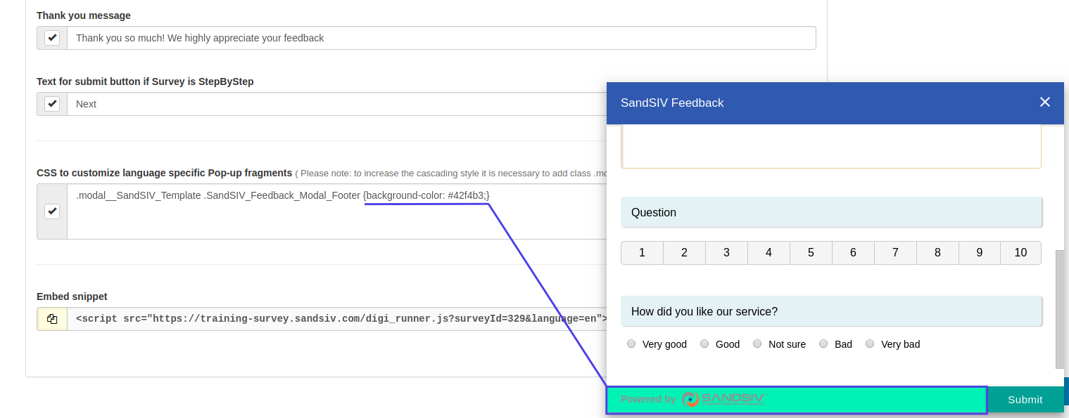 VoC_Feedback_-_DIGI_CSS_-_Example.png